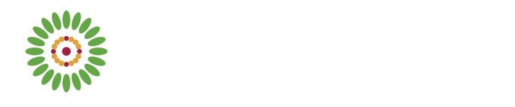 Safalta International